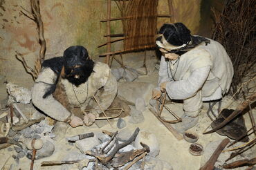 Reconstitution Habitat