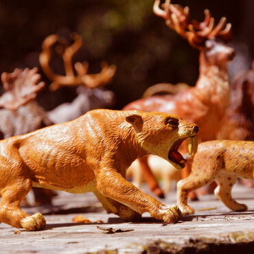 Atelier sur la faune préhistorique
