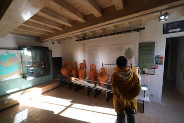 Musée de site