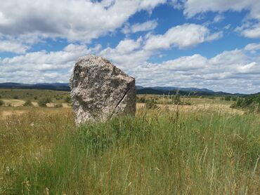 Menhir - Causse de Blandas