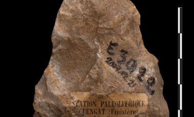 28621_vignette_MPF-14-02.png