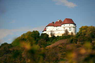 Dvor Veliki Tabor