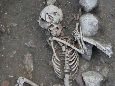 Fouille en cours d’une sépulture, l’individu, tête au sud, a été retrouvé sur le ventre