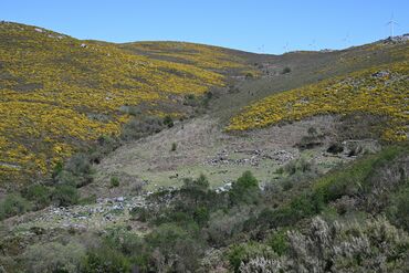 Paisaxe da zona de ruta