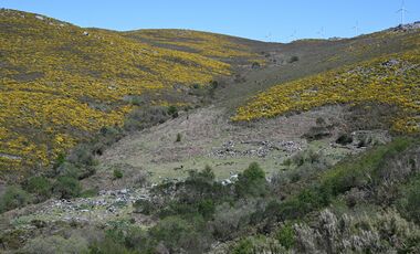 Paisaxe da zona de ruta