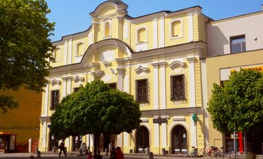 Podjavorinské múzeum v Novom Meste nad Váhom