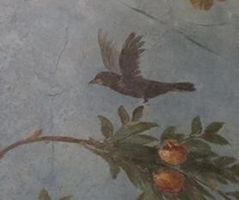 29132_vignette_Image1.jpg