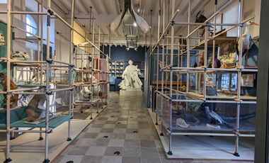 Musée Buffon