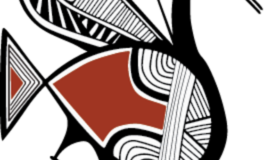 CAARI logo