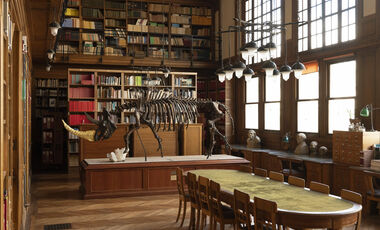La bibliothèque de l'IPH
