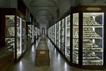 Museo G. Chierici di Paletnologia