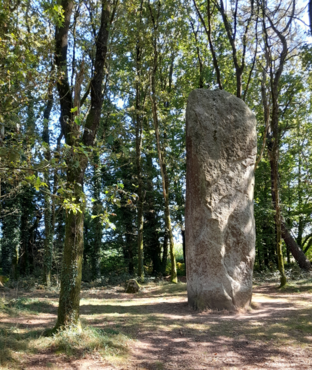 Menhir de Kermarquer
