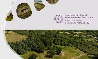 Rathmichael Wood Poster