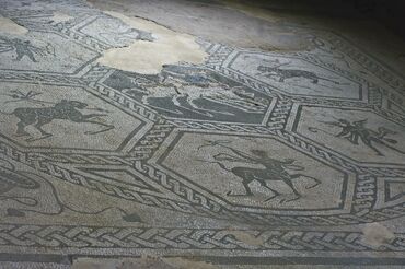 Il mosaico del tablinum