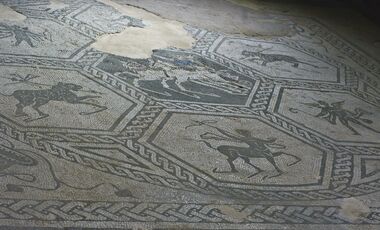 Il mosaico del tablinum